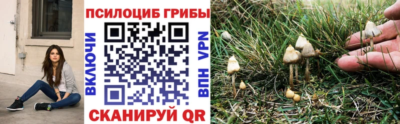 где продают наркотики  Радужный  ссылка на мегу ССЫЛКА  Псилоцибиновые грибы мицелий 